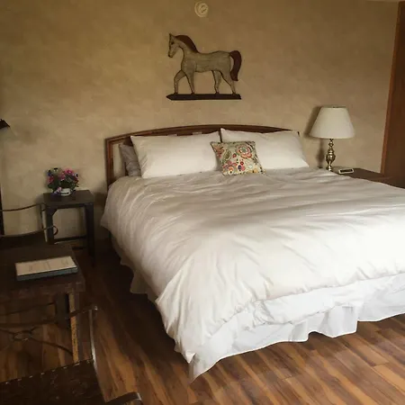 Laguna Vista Lodge